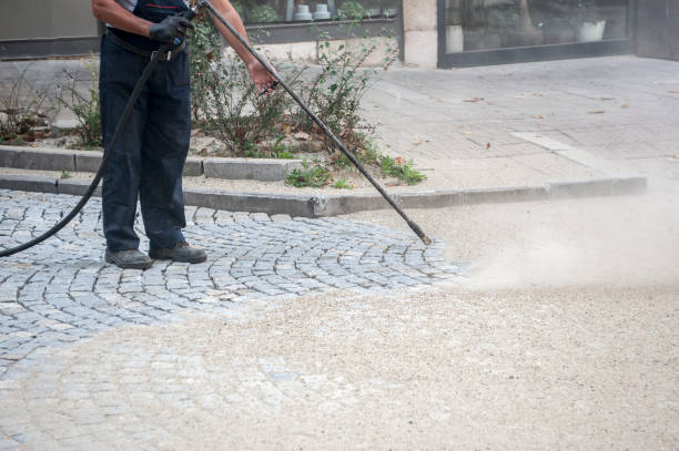 Animal Enclosure Cleaning in Waynesboro, VA